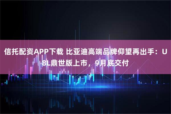 信托配资APP下载 比亚迪高端品牌仰望再出手：U8L鼎世版上市，9月底交付