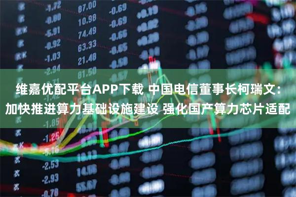 维嘉优配平台APP下载 中国电信董事长柯瑞文：加快推进算力基础设施建设 强化国产算力芯片适配