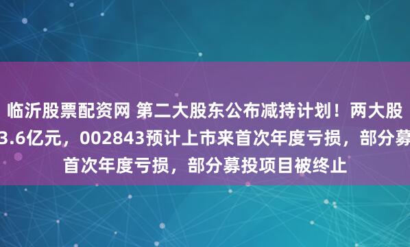 临沂股票配资网 第二大股东公布减持计划!两大股东去年套现超3.6亿元,002843预计上市来首次年度亏损,部分募投项目被终止