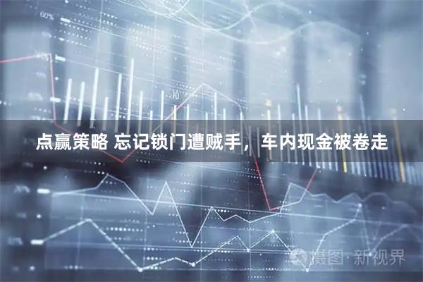 点赢策略 忘记锁门遭贼手，车内现金被卷走